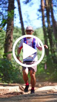 BIB:  <button type="button" onclick="openModal(26787578)" class="btn btn-primary btn-sm float-right" data-toggle="modal" data-target=".modal-high-quality">
                <i class="fa fa-download"></i> Download
                </button>